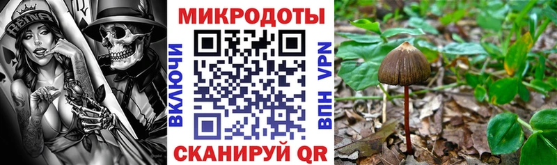 Галлюциногенные грибы GOLDEN TEACHER  Сергач 